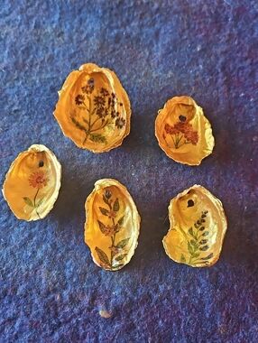 Hand Painted & Decopaged Floral Design Oyster Shell  Ornament Set.